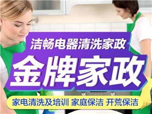 興國(guó)縣金牌家政 專業(yè)服務(wù)，品質(zhì)生活的可靠之選